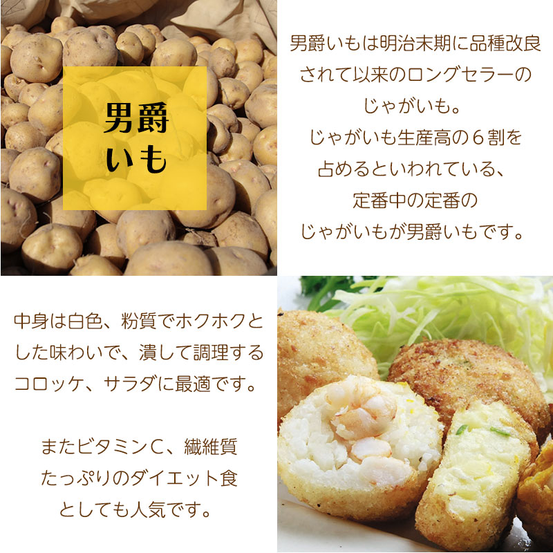 男爵いも特徴01