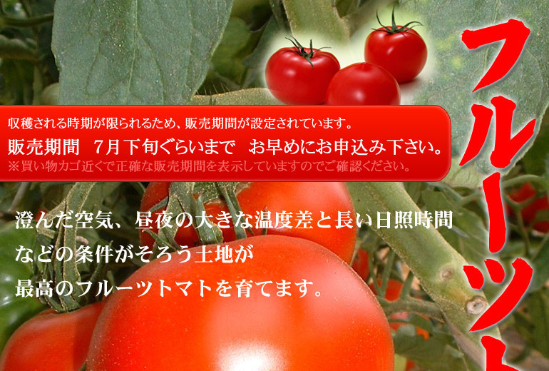 フルーツトマト