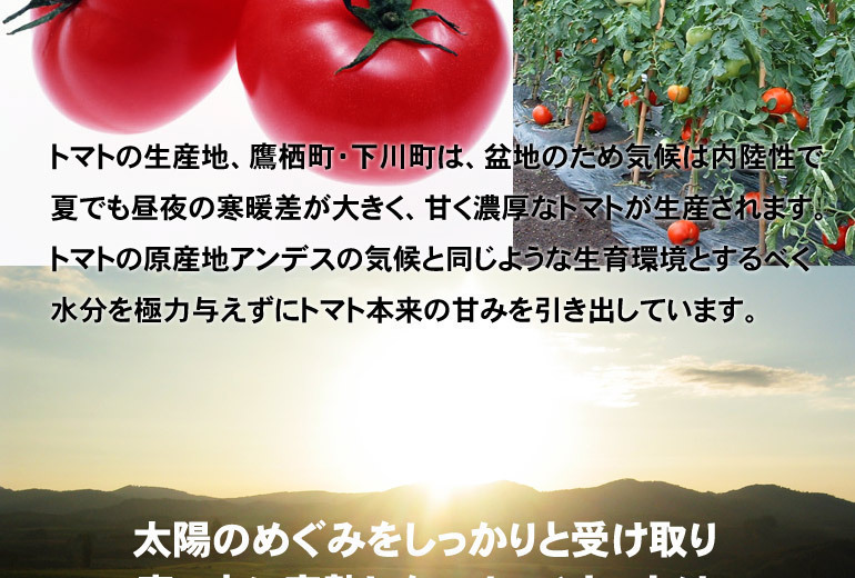 フルーツトマト