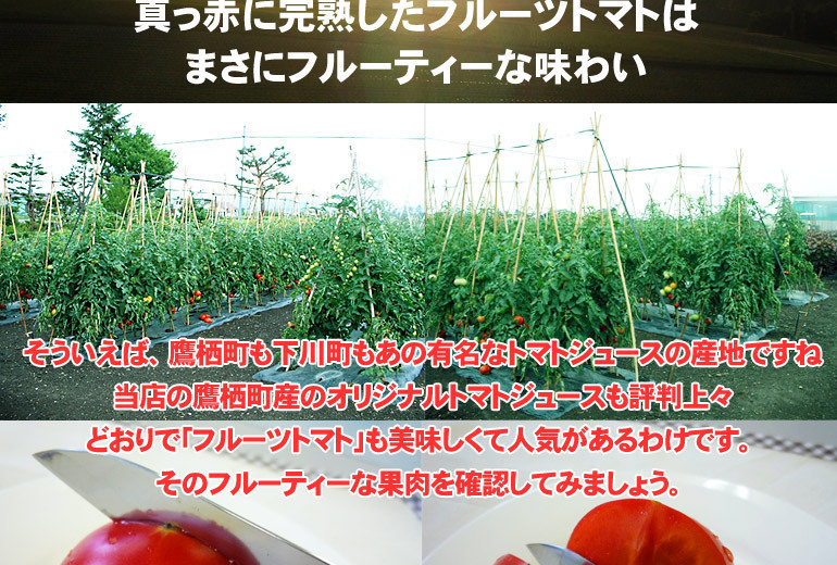 フルーツトマト