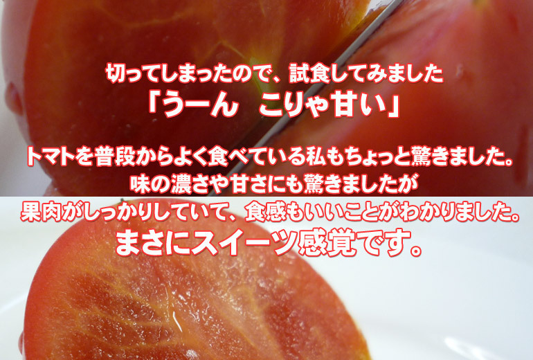 フルーツトマト