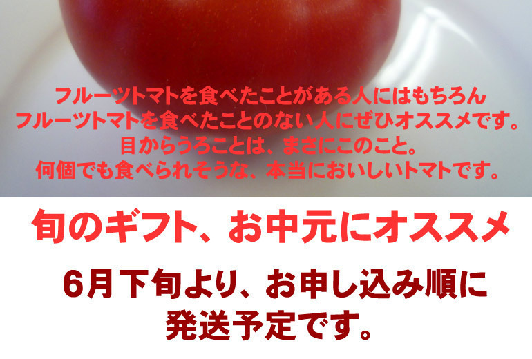 フルーツトマト