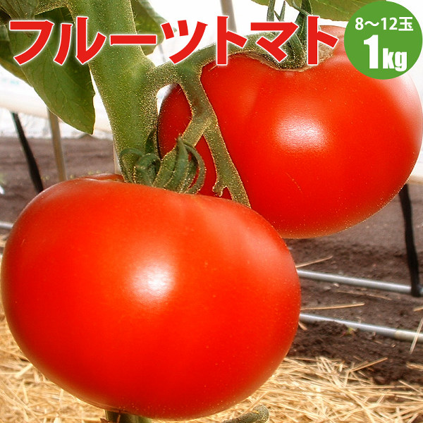 フルーツトマト