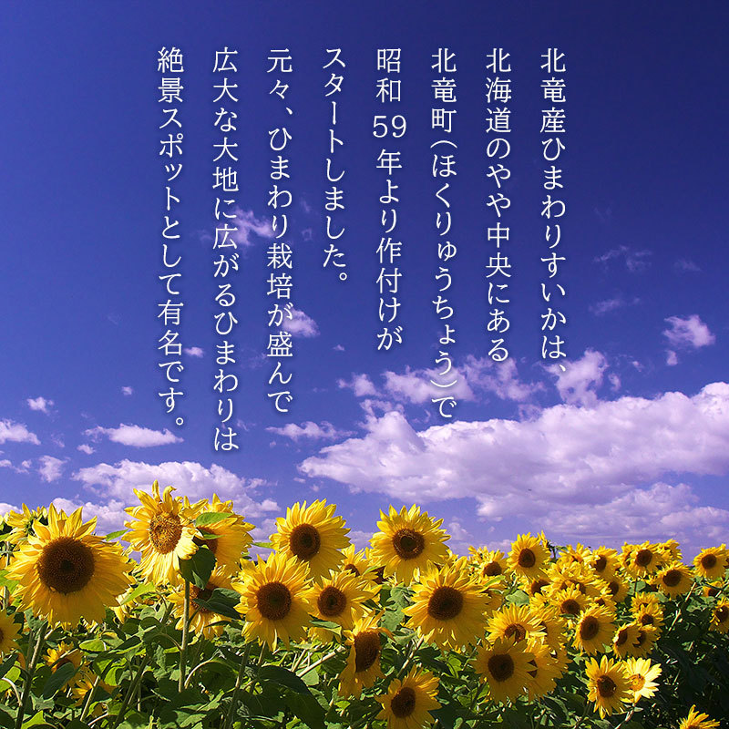 北海道北竜産ひまわりすいか