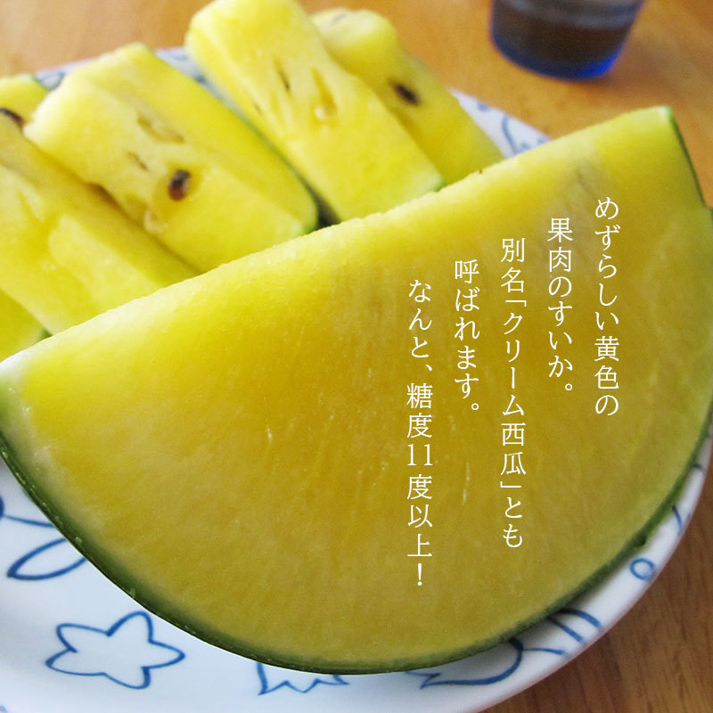 北海道北竜産ひまわりすいか