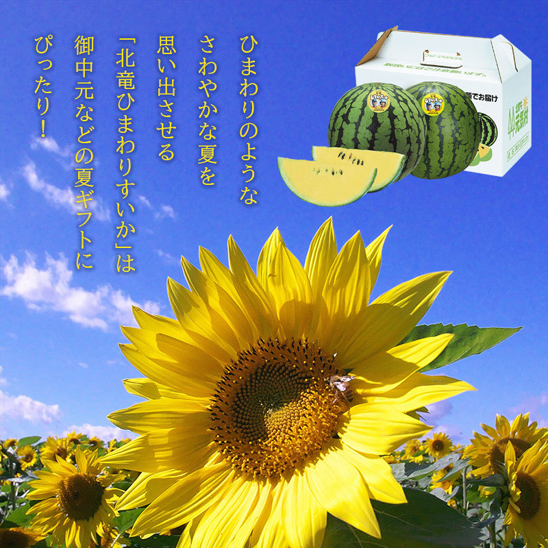 北海道北竜産ひまわりすいか