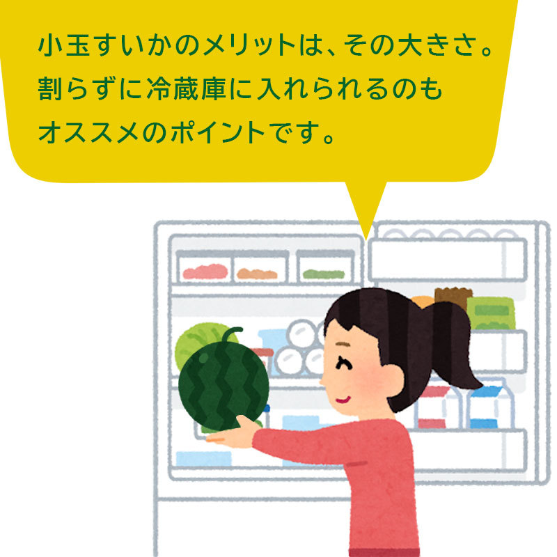 北海道北竜産ひまわりすいか