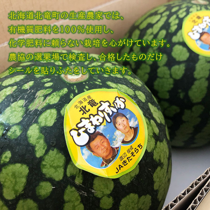 北海道北竜産ひまわりすいか