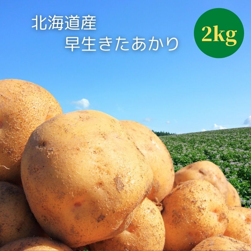 保証書付】 じゃがいも 早生きたあかり L 2kg 北海道 ジャガイモ 敬老 www.sboza2.com