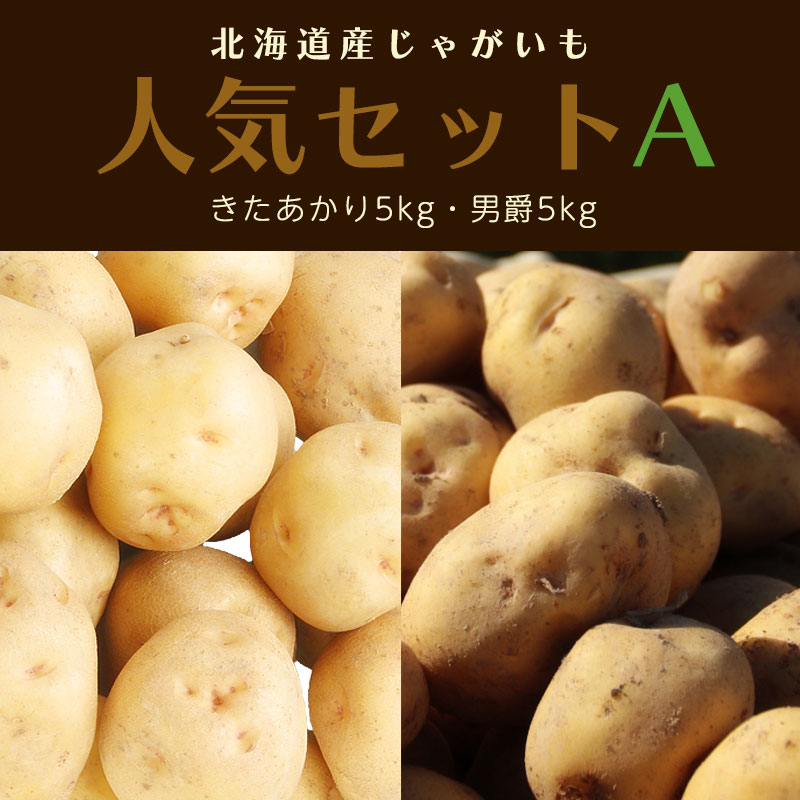 北海道産じゃがいも人気セットＡ