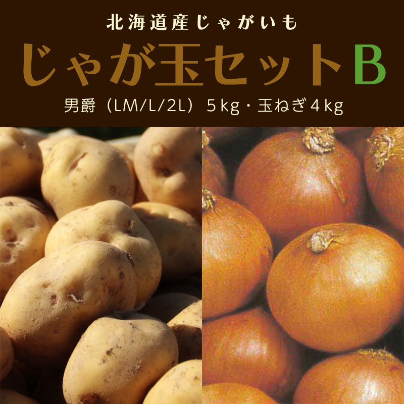 北海道産じゃが玉セットB