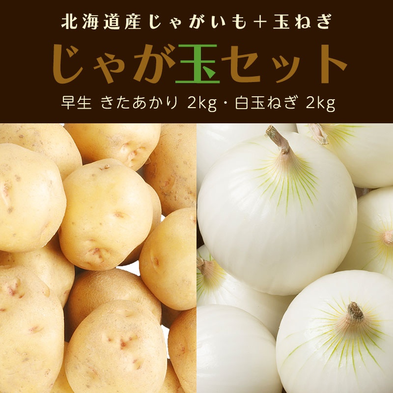 早生きたあかり+白玉ねぎ じゃが玉セット