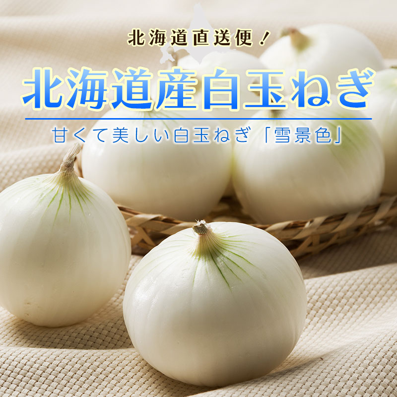 北海道直送「白玉ねぎ」