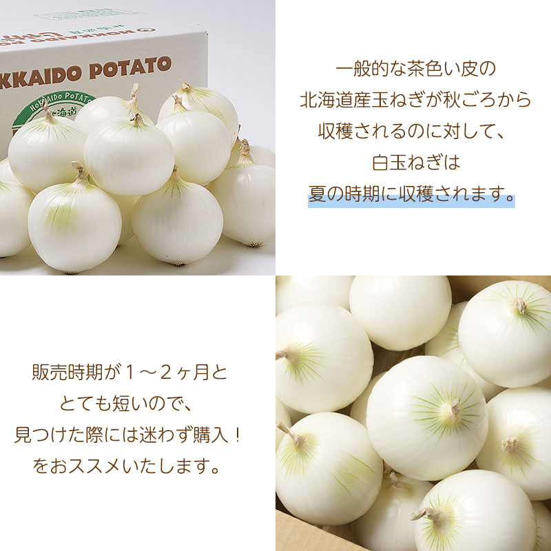 白玉ねぎ特徴02