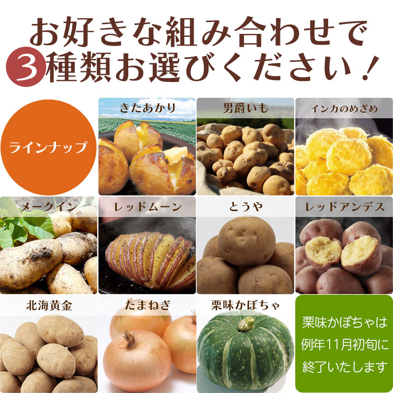 よりどりラインナップ