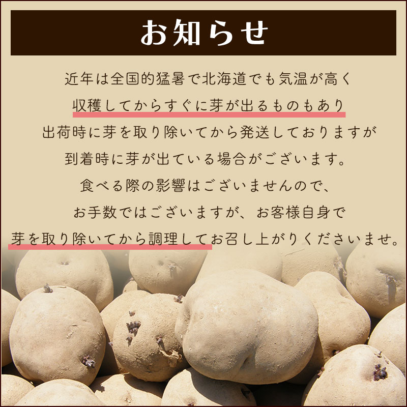 じゃがいも ジャガイモ レッドムーン 3kg 正品・LM/L/2L混 （越冬じゃがいも） 北海道ギフト |  | 16