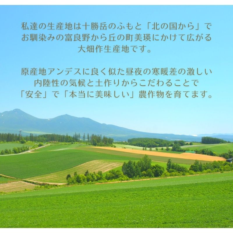 じゃがいも ジャガイモ レッドムーン 3kg 正品・LM/L/2L混 （越冬じゃがいも） 北海道ギフト |  | 04