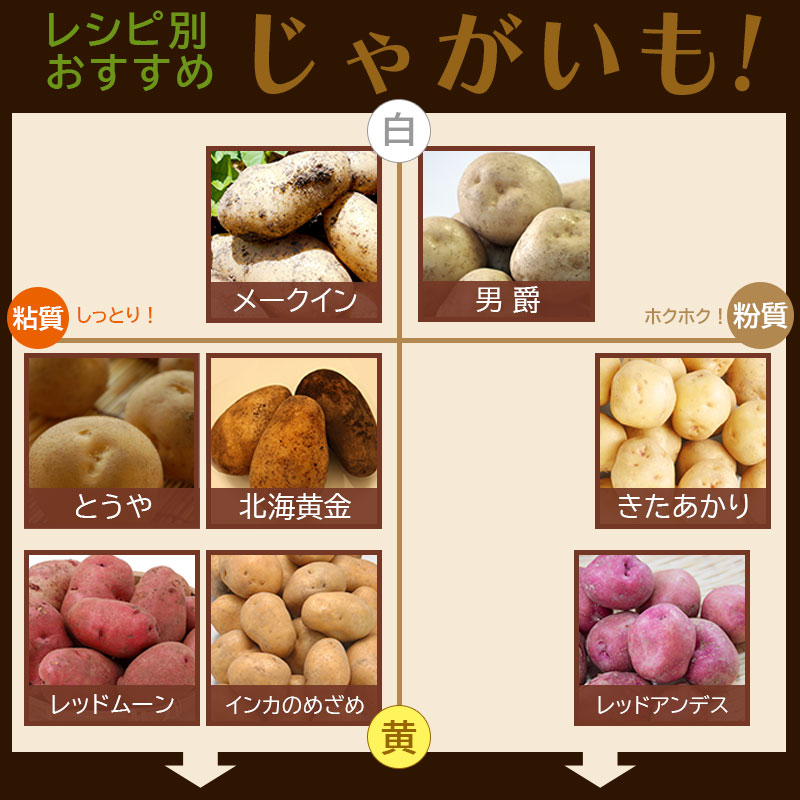 じゃがいも ジャガイモ レッドムーン 3kg 正品・LM/L/2L混 （越冬じゃがいも） 北海道ギフト |  | 11