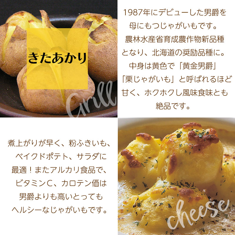 きたあかり特徴01
