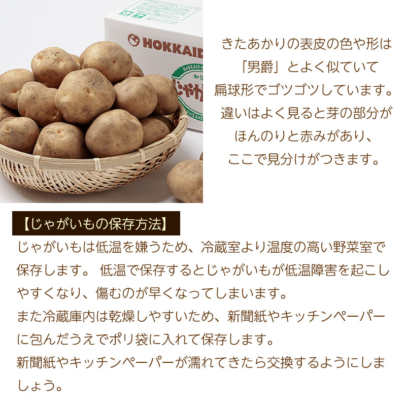 きたあかり特徴02