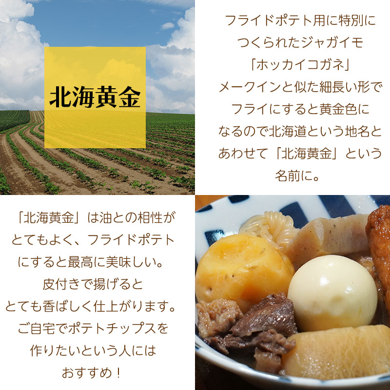 北海黄金特徴01