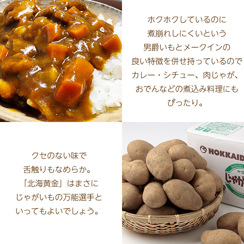 北海黄金特徴02