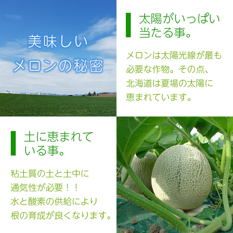 美味しいメロンの秘密