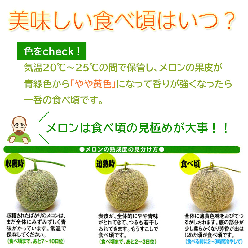 美味しい食べ頃はいつ？