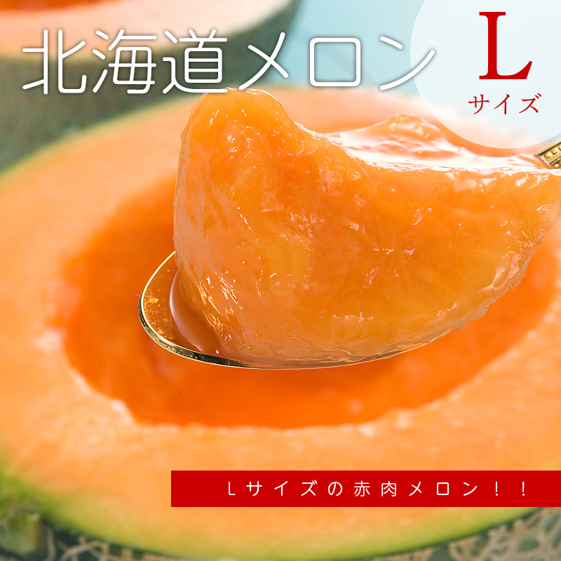 予約】 北海道メロン 1.3kg (Lサイズ)×1玉 赤肉メロン 北海道