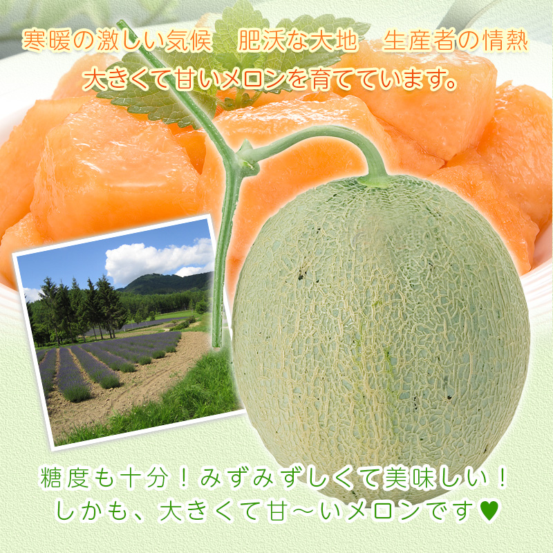北海道メロン