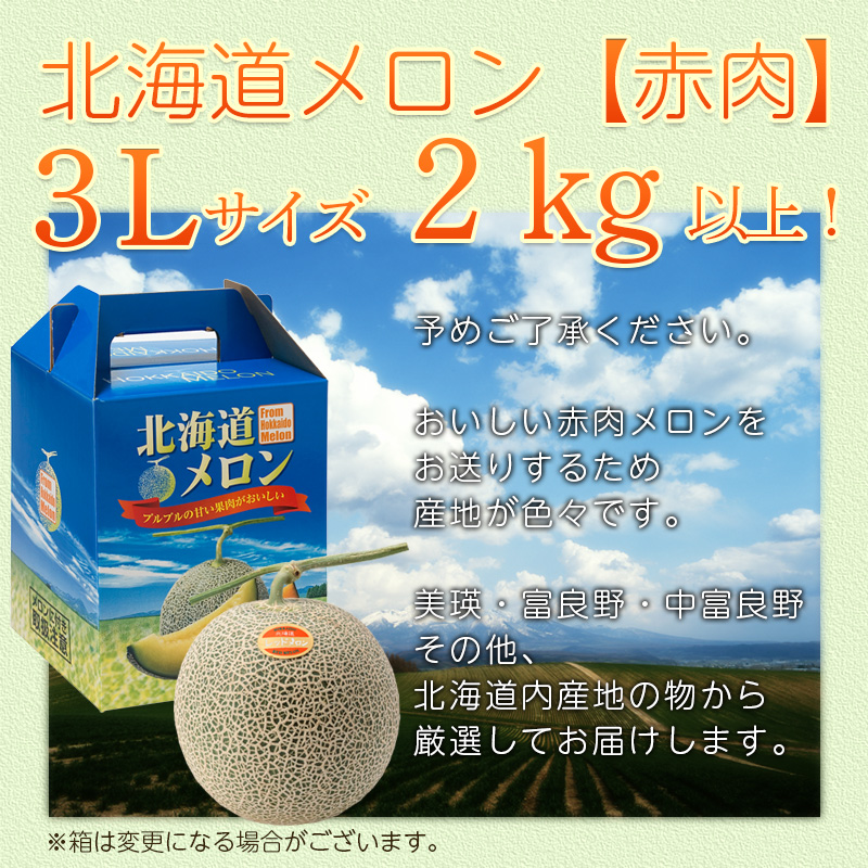 北海道メロン