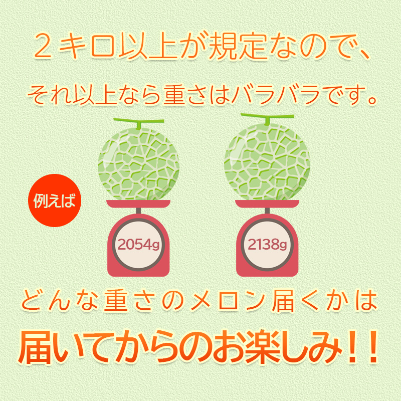 北海道メロン