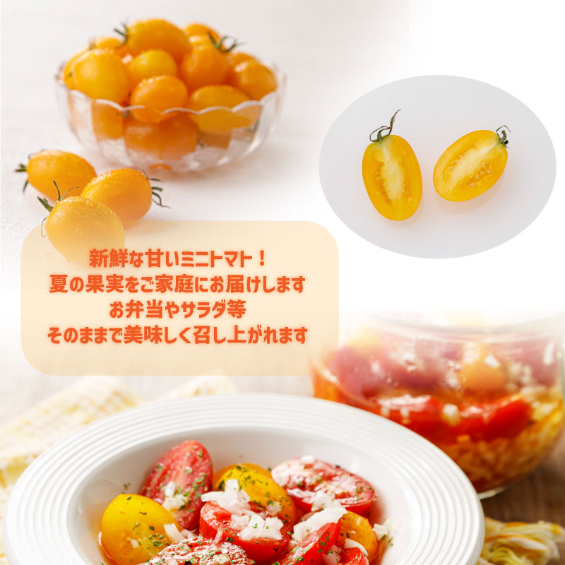 イエローアイコ