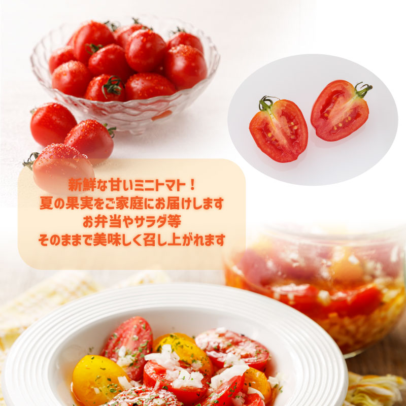 ベリートマト