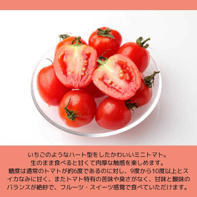 北海道産 ミニトマト 3種セット ベリートマト アイコ イエローアイコ 各300gその2 