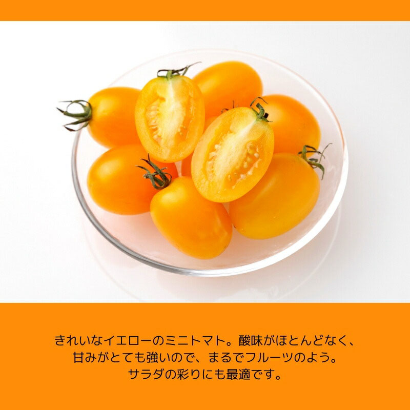 北海道産 ミニトマト 3種セット ベリートマト アイコ イエローアイコ 各300g その3