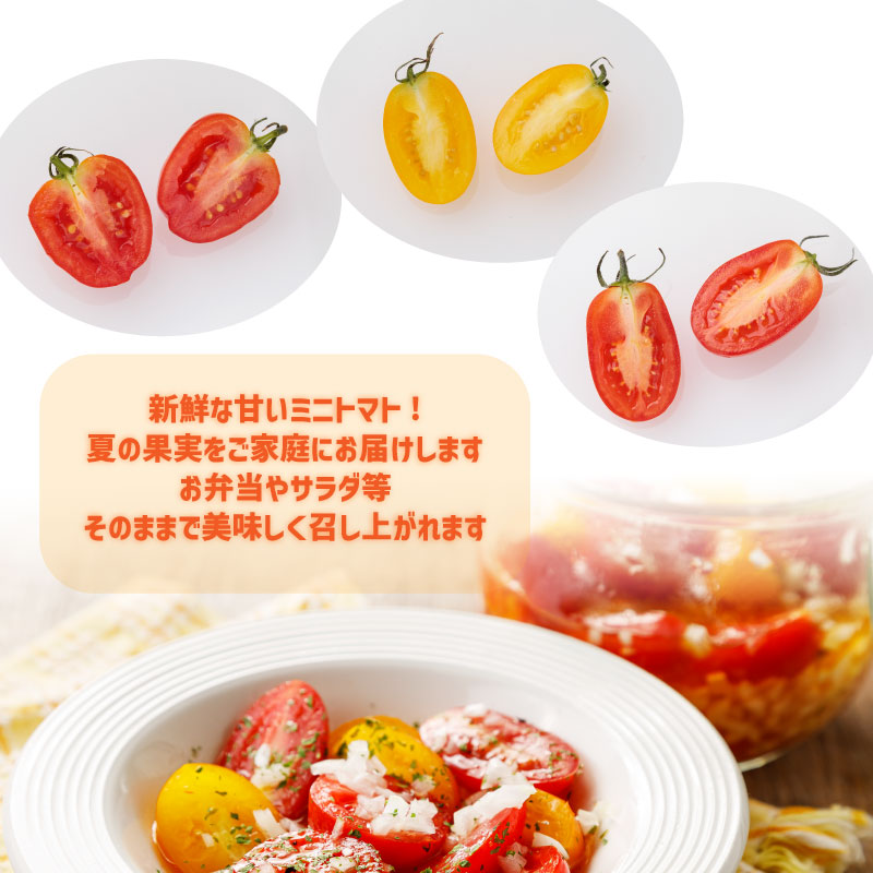 北海道産 ミニトマト 3種セット ベリートマト アイコ イエローアイコ 各300gその5 