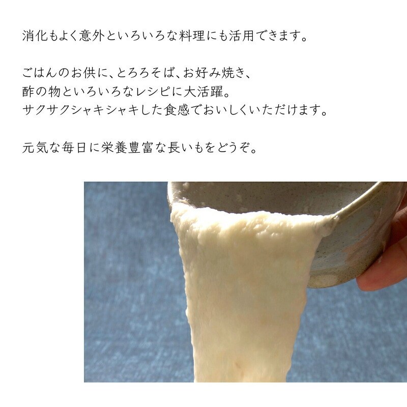 長芋