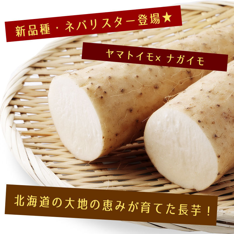 新品種ネバリスター登場