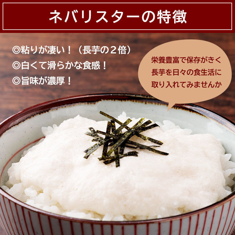 ネバリスターの特徴
