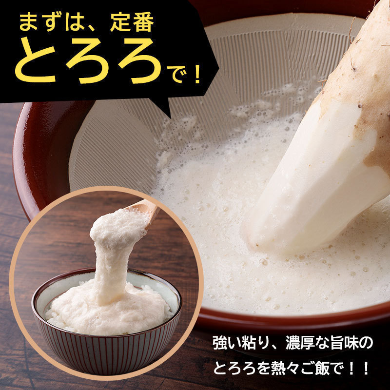 まずは定番とろろで！