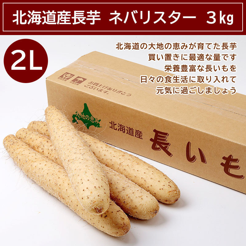 北海道産長芋 ネバリスター 3kg