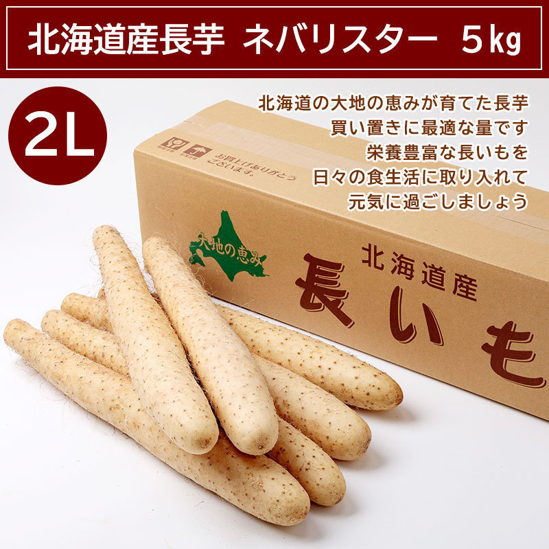 北海道産長芋 ネバリスター 5kg