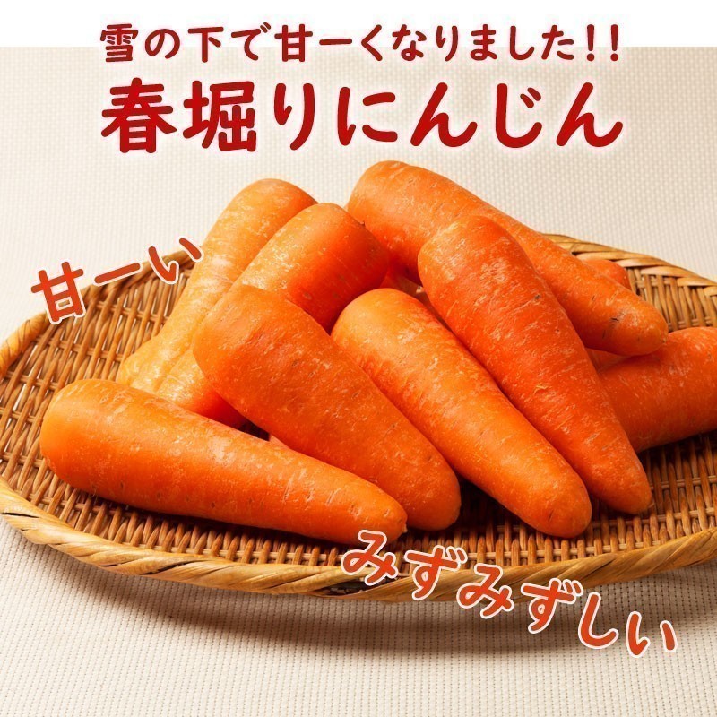 春掘りにんじん