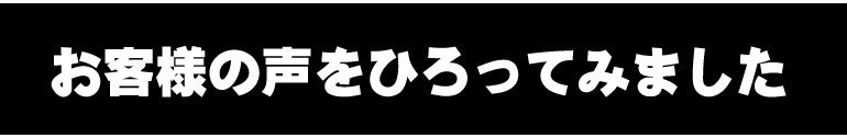 かぼちゃ