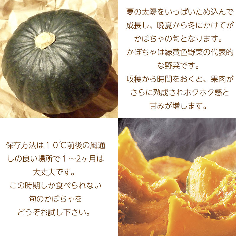 栗味かぼちゃ特徴01
