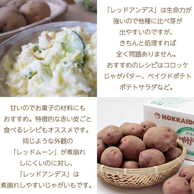 レッドアンデス特徴02
