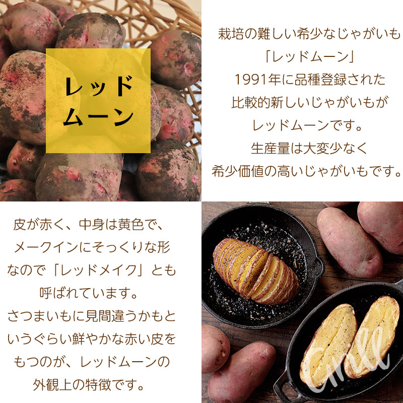 じゃがいも ジャガイモ レッドムーン 3kg 正品・LM/L/2L混 （越冬じゃがいも） 北海道ギフト |  | 01