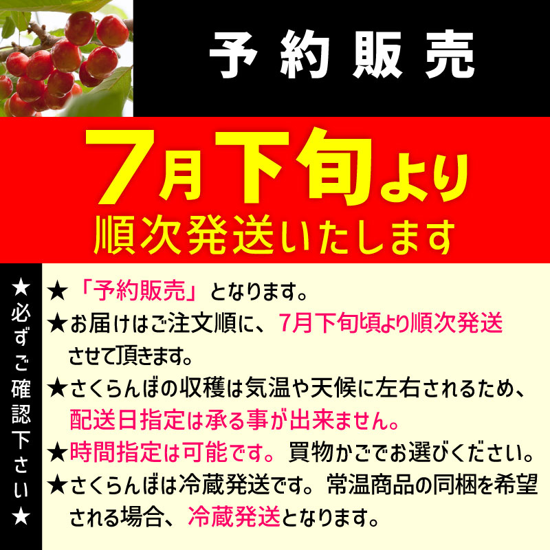 さくらんぼ 紅秀峰