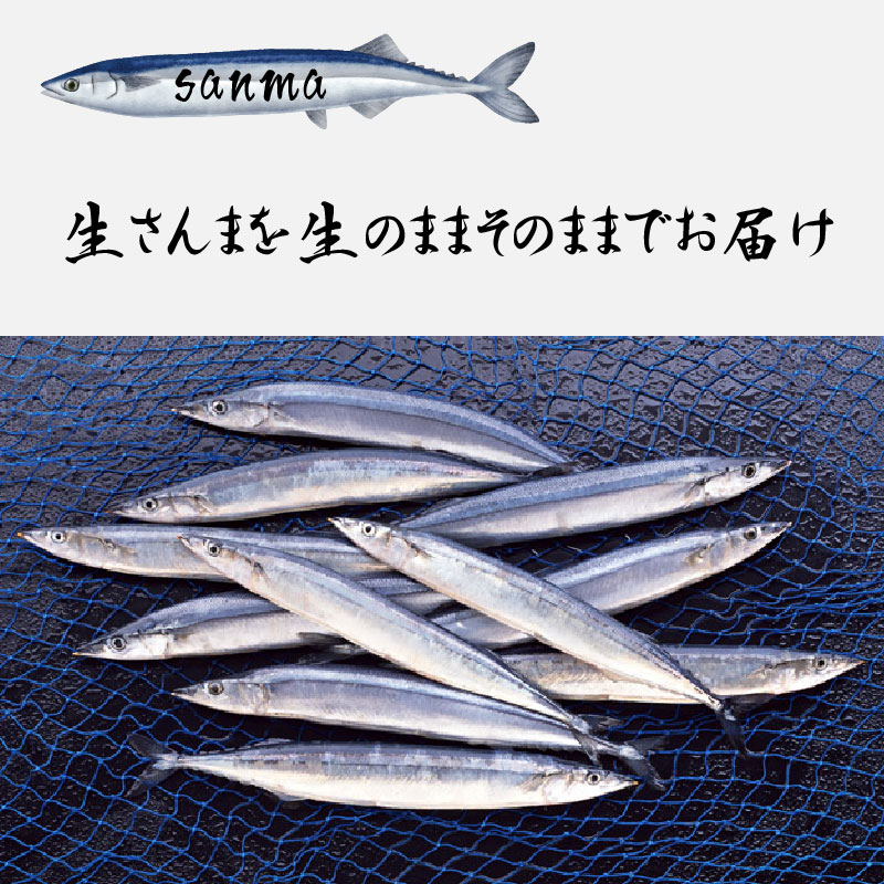鮮度抜群のさんま